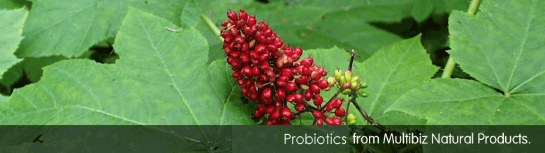 Oils and Oleoresins from Multibiz Natural Products